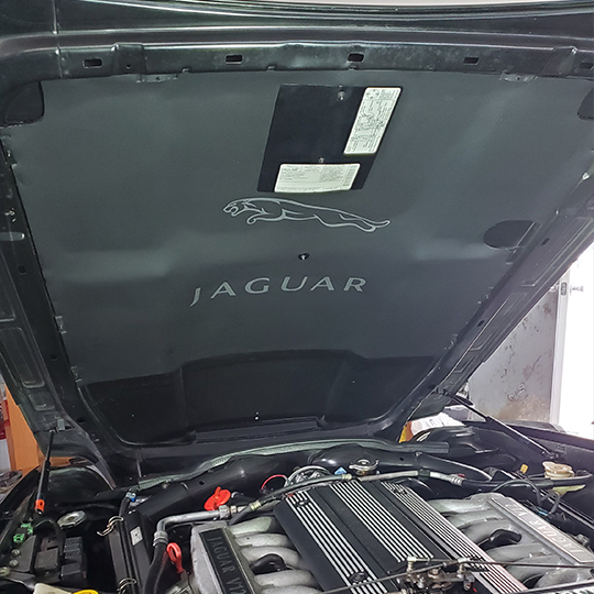 JAGUAR