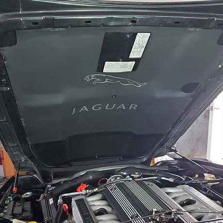 JAGUAR